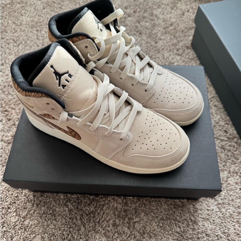 Nike Jordan Hightop sneakers